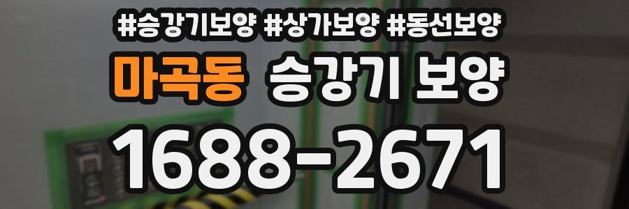 마곡동 승강기 보양