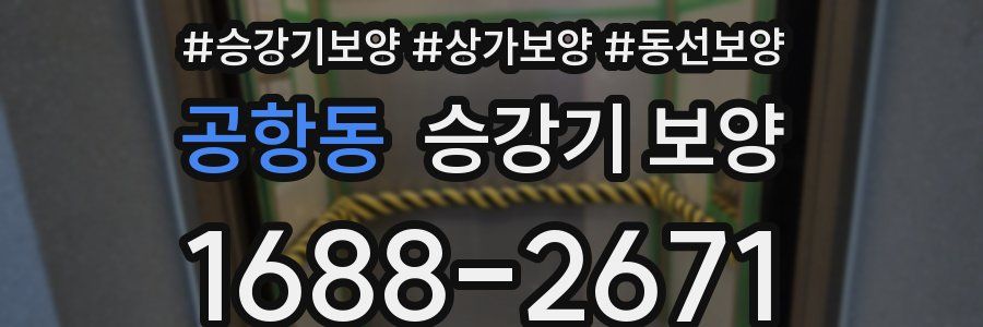 공항동 승강기 보양