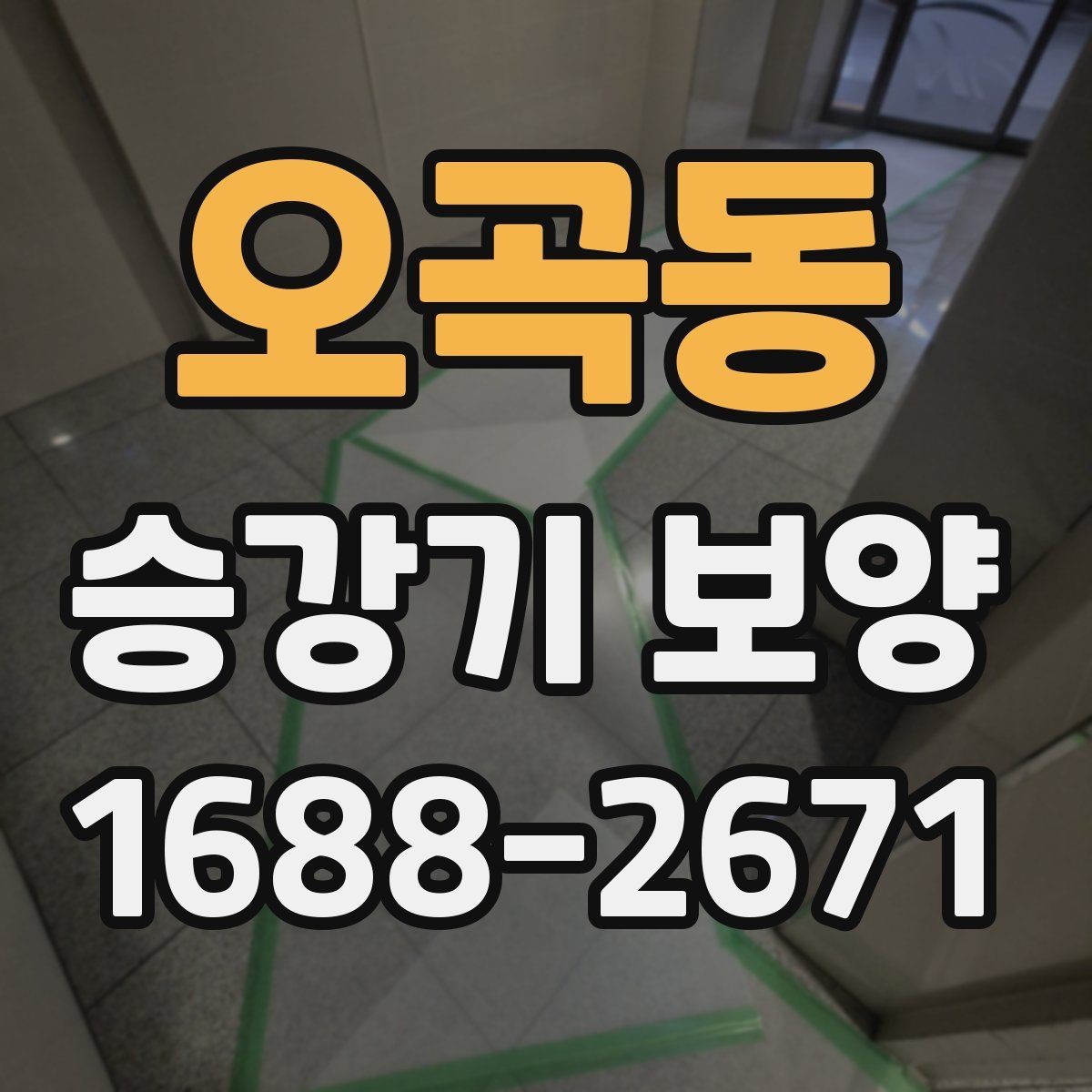 오곡동 승강기 보양 현장 사진으로 보는 진행 과정