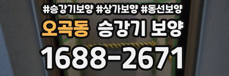 오곡동 승강기 보양