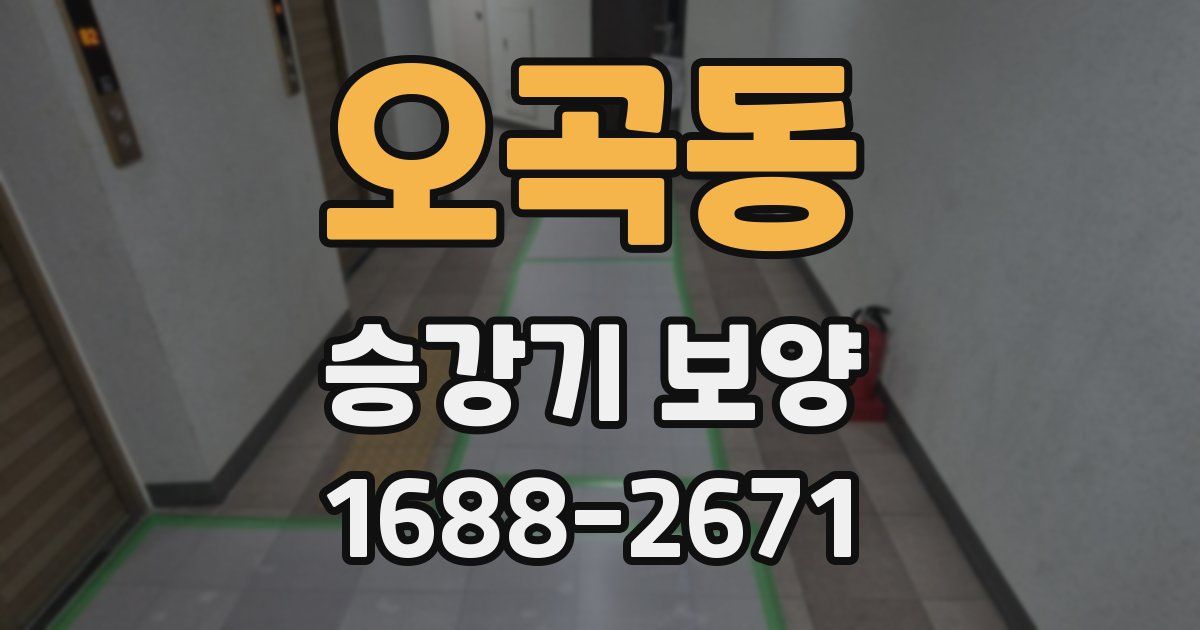 오곡동 승강기 보양