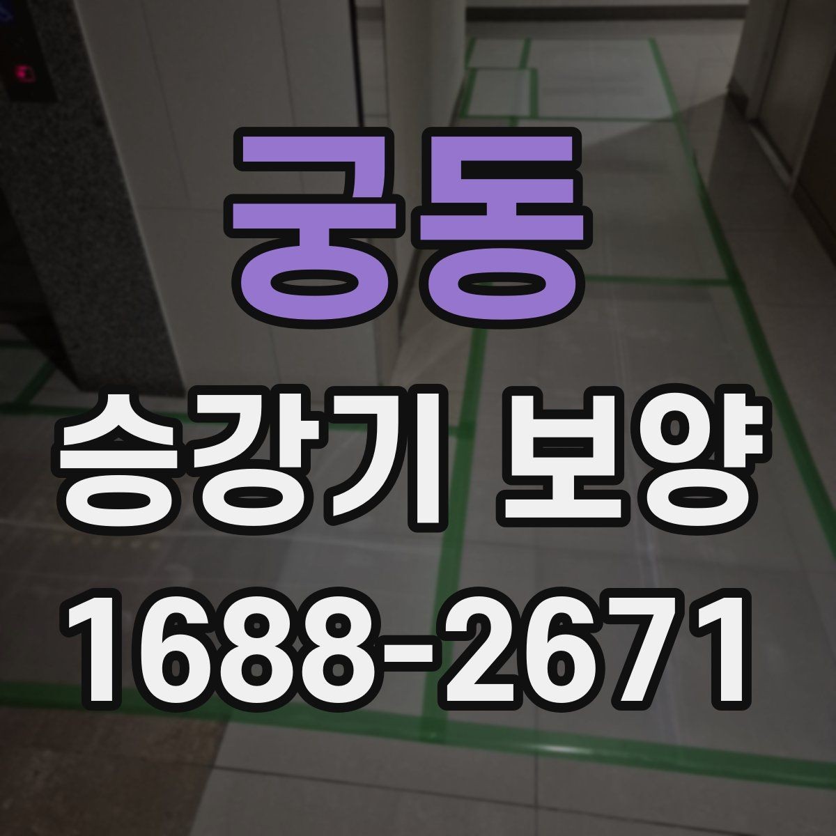 궁동 승강기 보양 작업 순서와 단계별 진행 방법