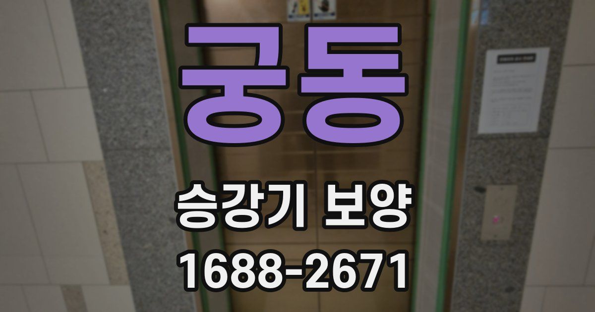 궁동 승강기 보양