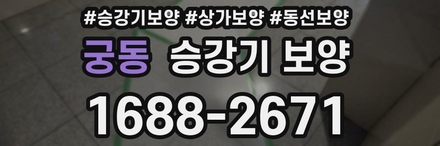 궁동 승강기 보양