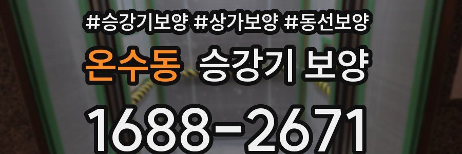온수동 승강기 보양