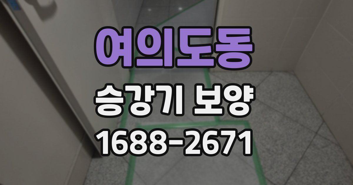 여의도동 승강기 보양