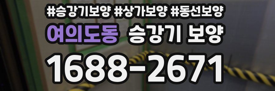 여의도동 승강기 보양