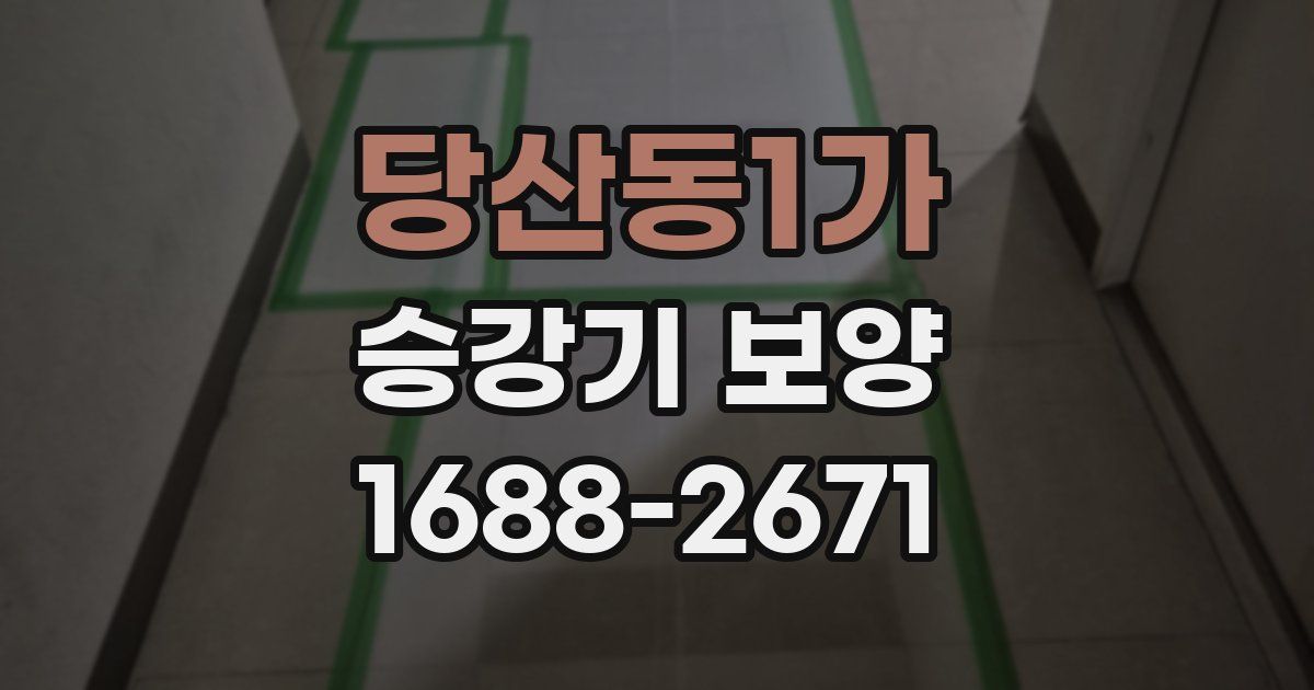 당산동1가 승강기 보양