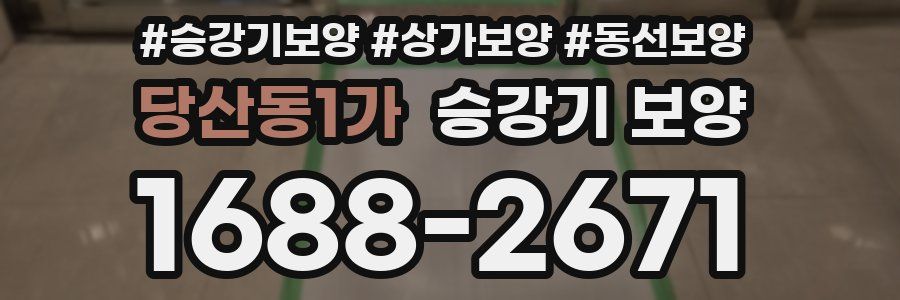 당산동1가 승강기 보양
