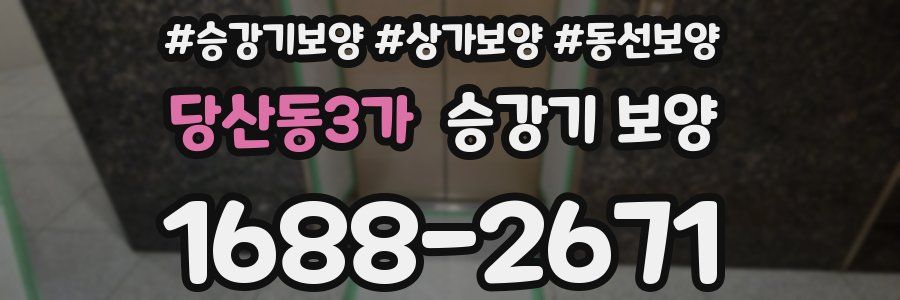 당산동3가 승강기 보양