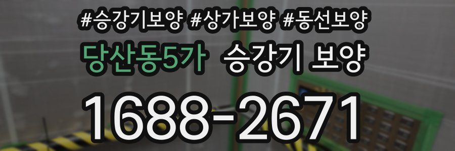 당산동5가 승강기 보양