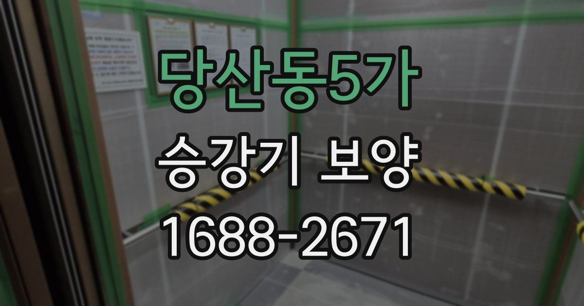 당산동5가 승강기 보양