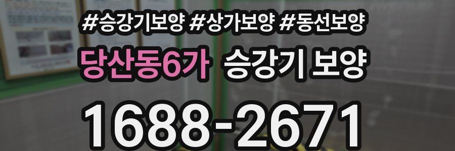 당산동6가 승강기 보양