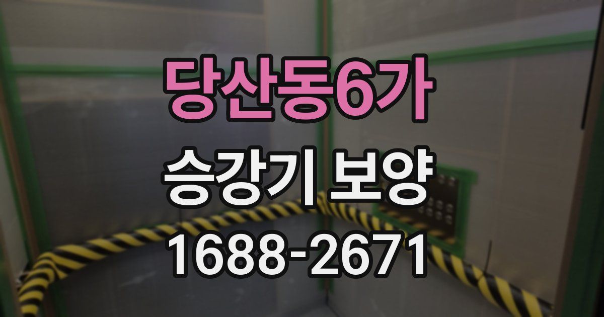당산동6가 승강기 보양