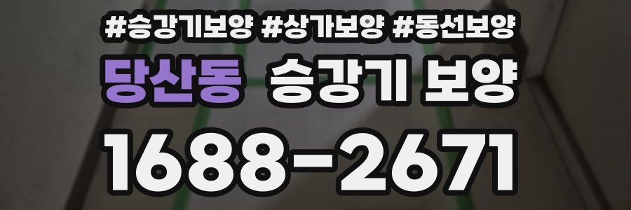 당산동 승강기 보양