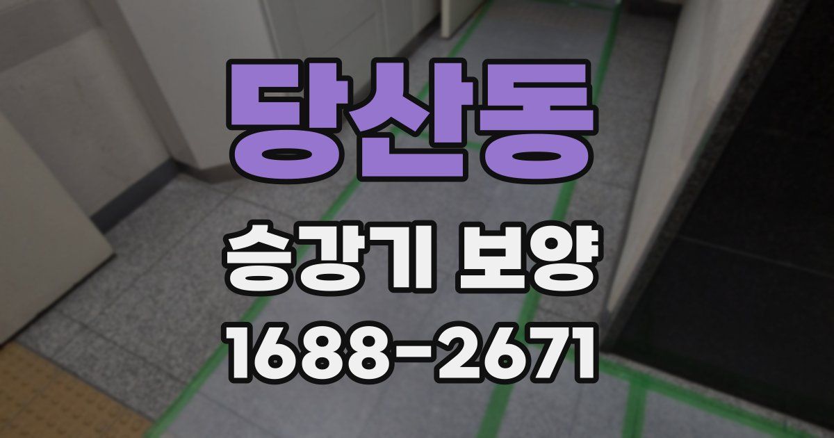 당산동 승강기 보양