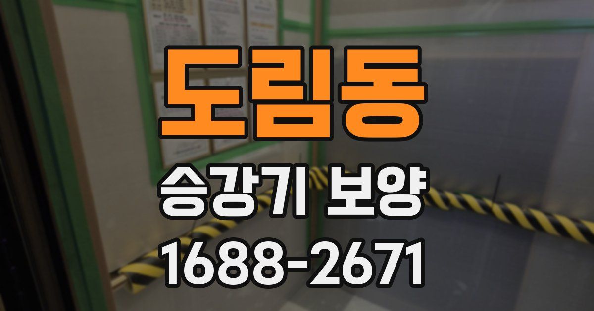 도림동 승강기 보양