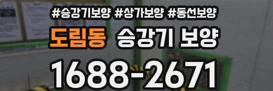 도림동 승강기 보양
