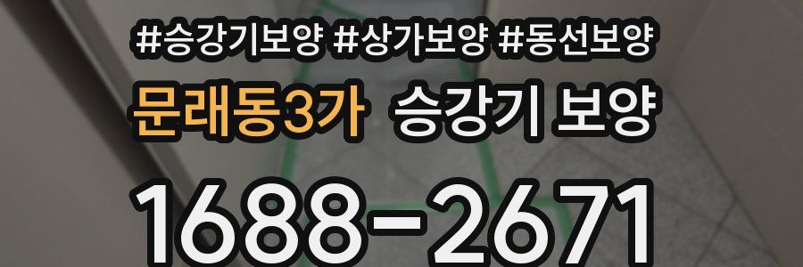 문래동3가 승강기 보양