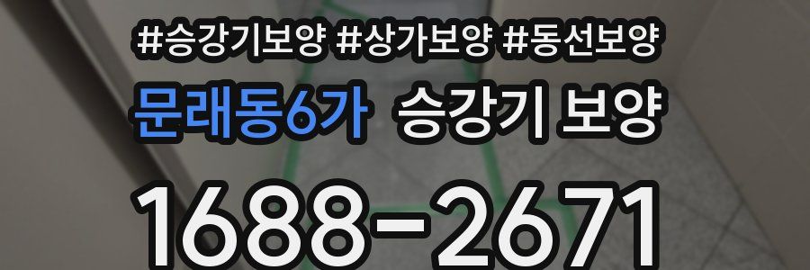 문래동6가 승강기 보양