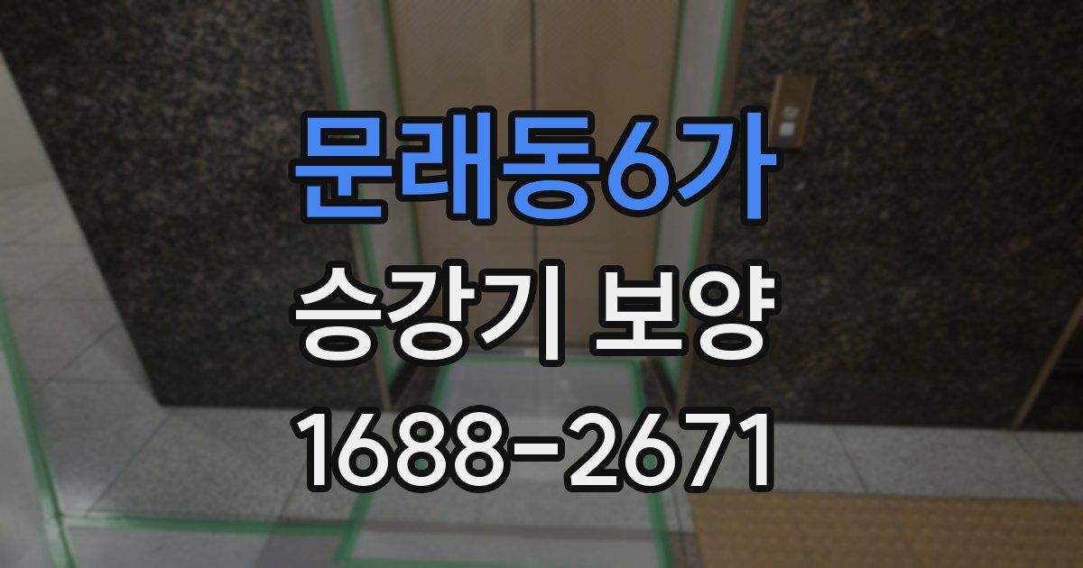 문래동6가 승강기 보양