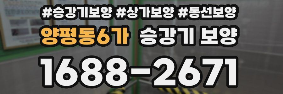 양평동6가 승강기 보양