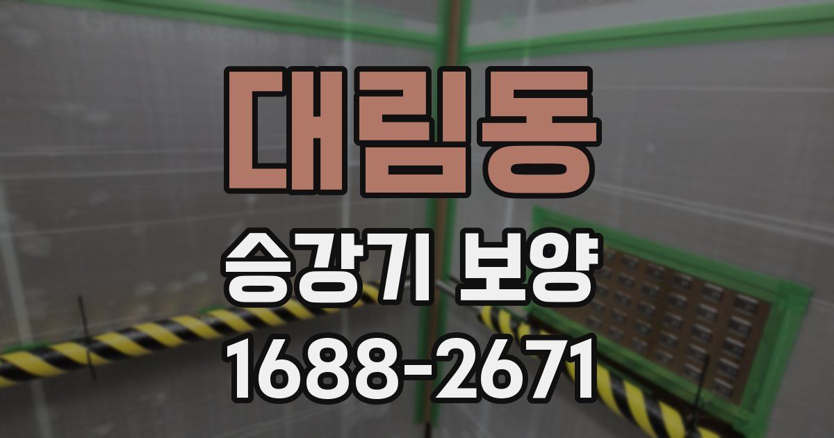 대림동 승강기 보양