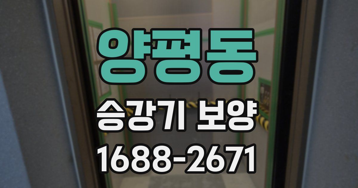 양평동 승강기 보양