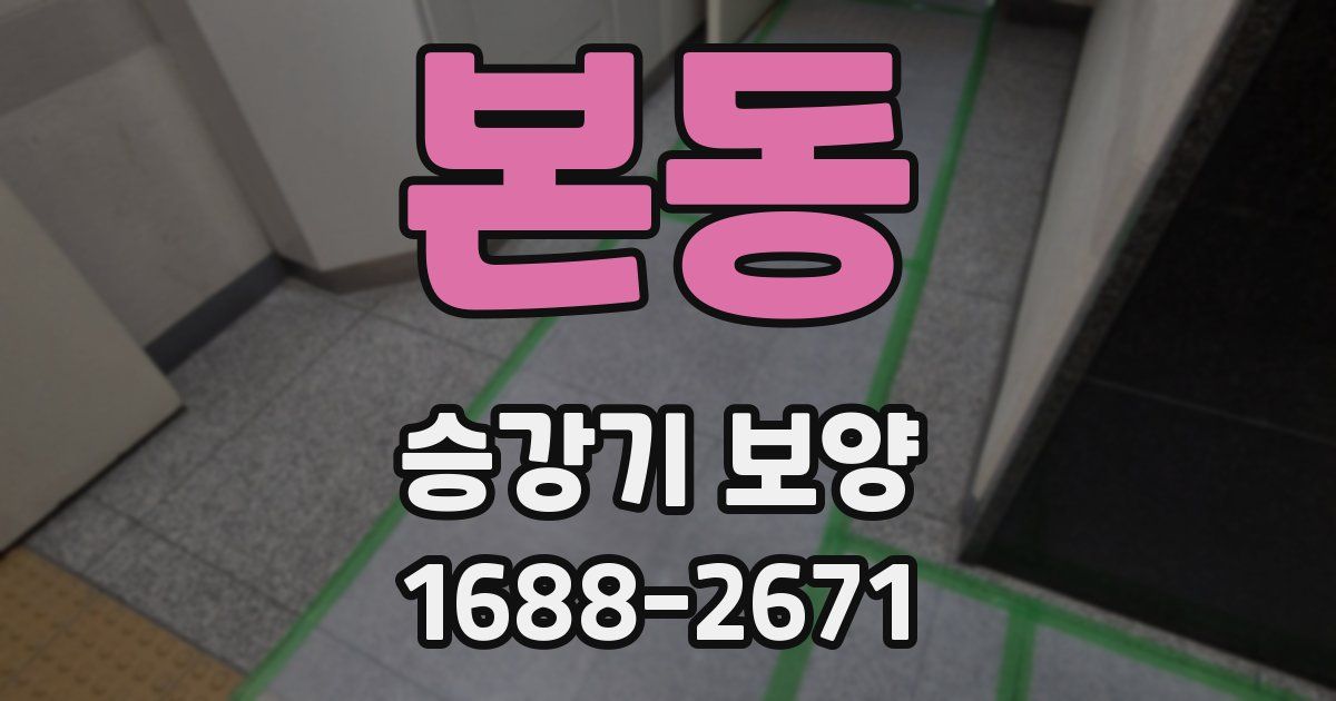 본동 승강기 보양