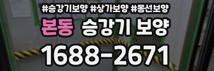 본동 승강기 보양