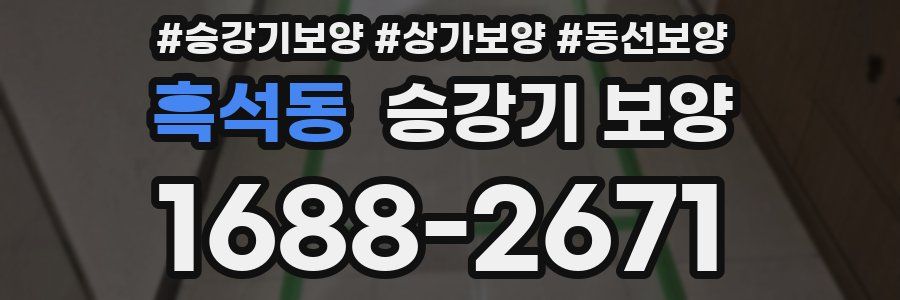 흑석동 승강기 보양