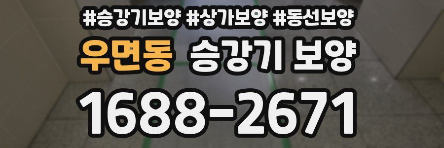 우면동 승강기 보양