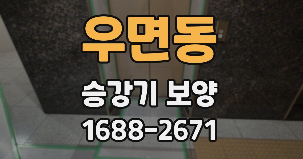우면동 승강기 보양