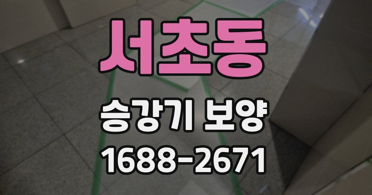서초동 승강기 보양