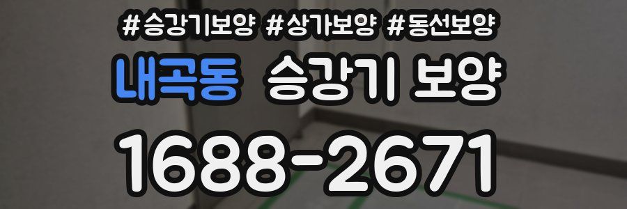 내곡동 승강기 보양