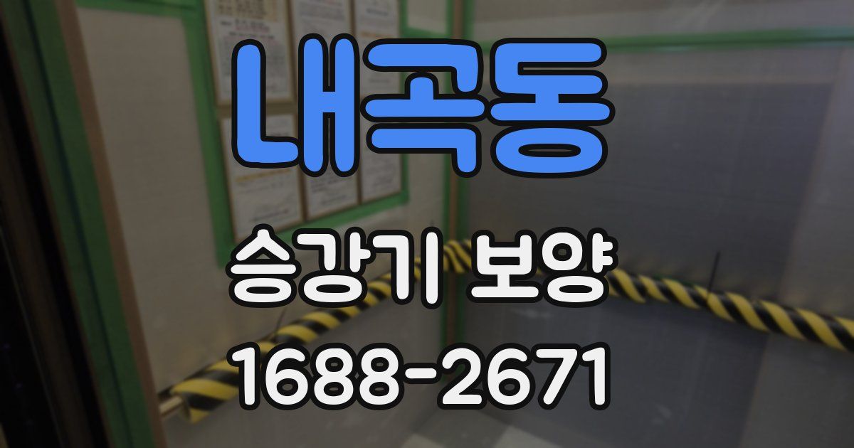 내곡동 승강기 보양