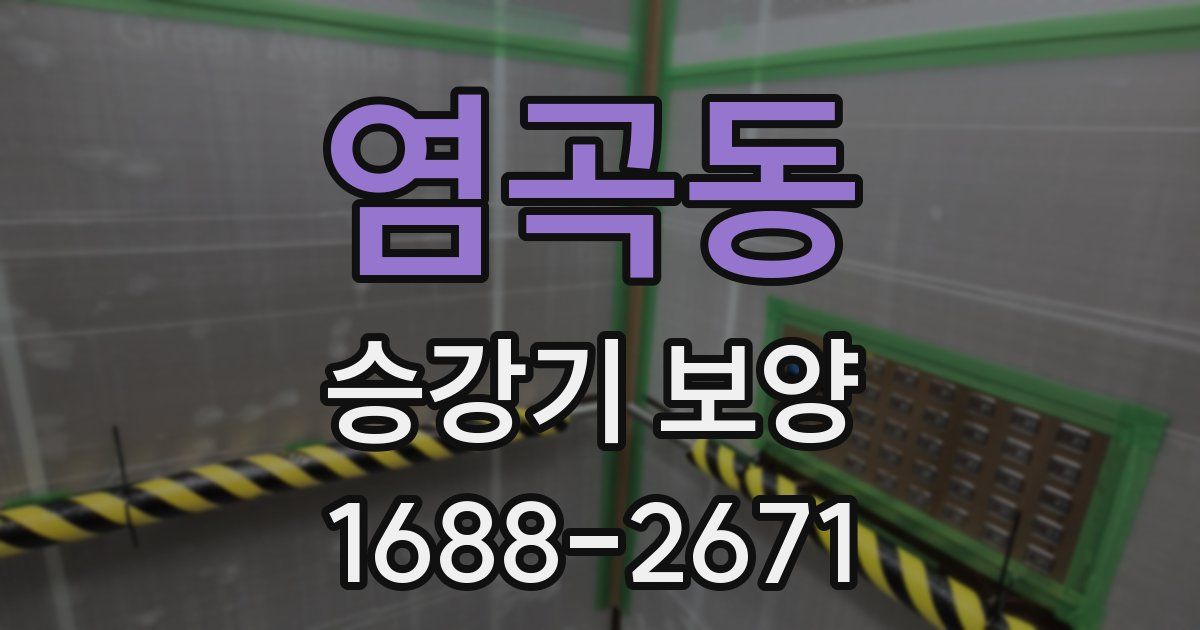 염곡동 승강기 보양