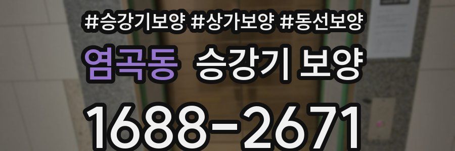 염곡동 승강기 보양