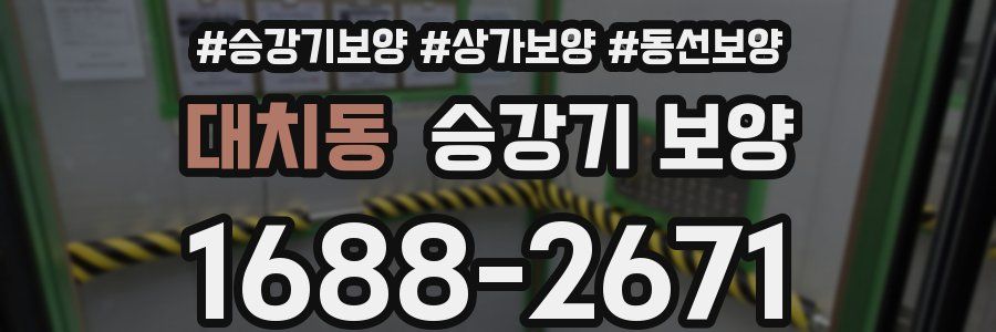 대치동 승강기 보양
