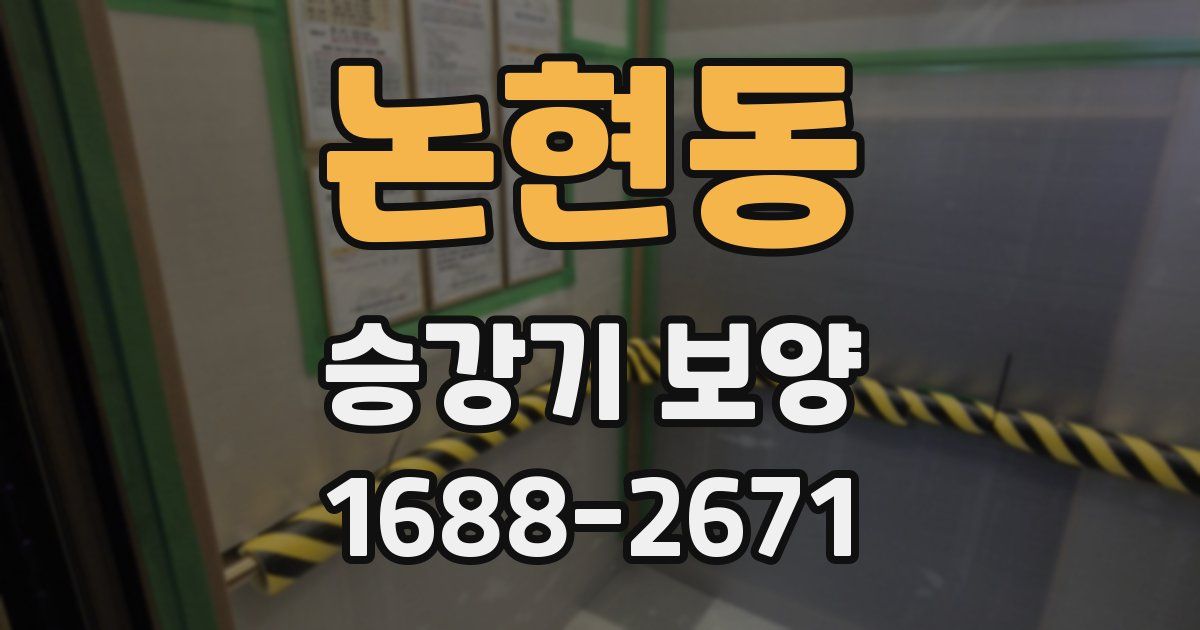 논현동 승강기 보양