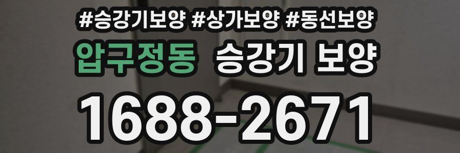 압구정동 승강기 보양