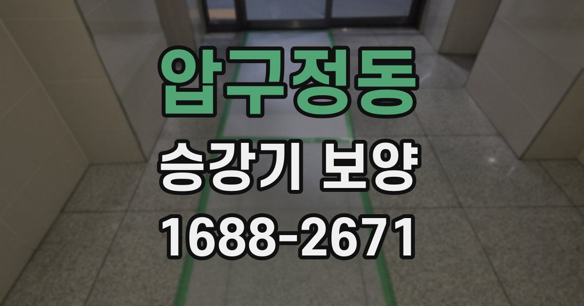 압구정동 승강기 보양