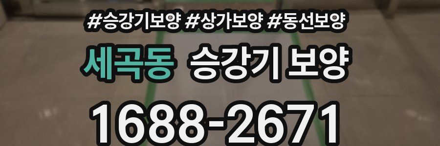 세곡동 승강기 보양