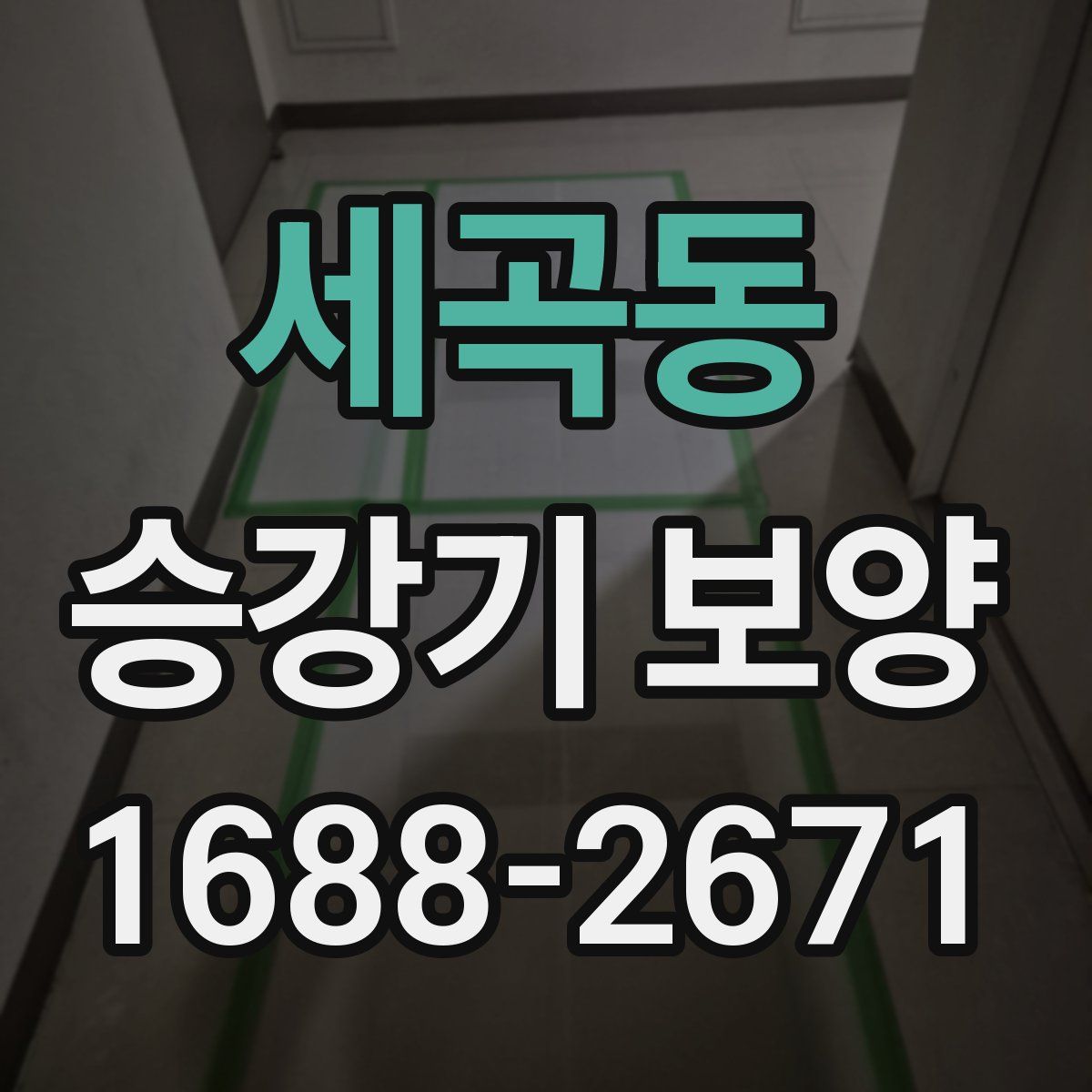 세곡동 승강기 보양