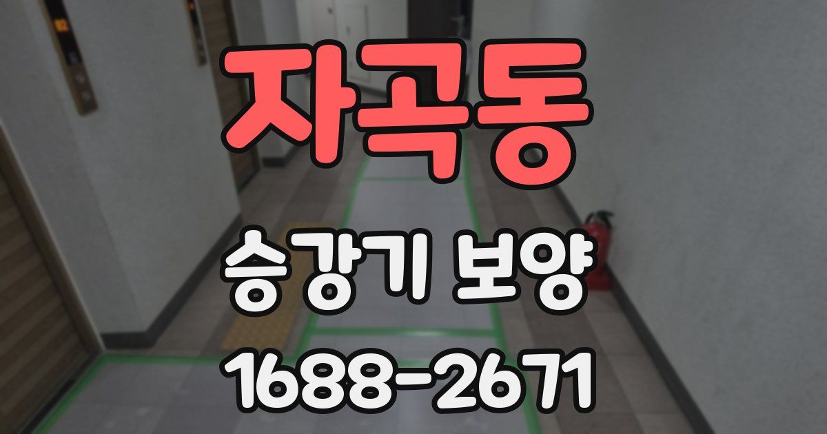 자곡동 승강기 보양