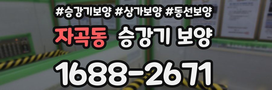 자곡동 승강기 보양