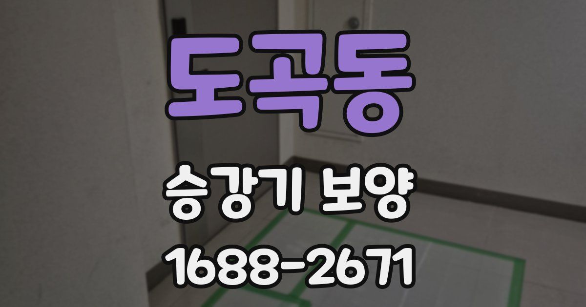 도곡동 승강기 보양