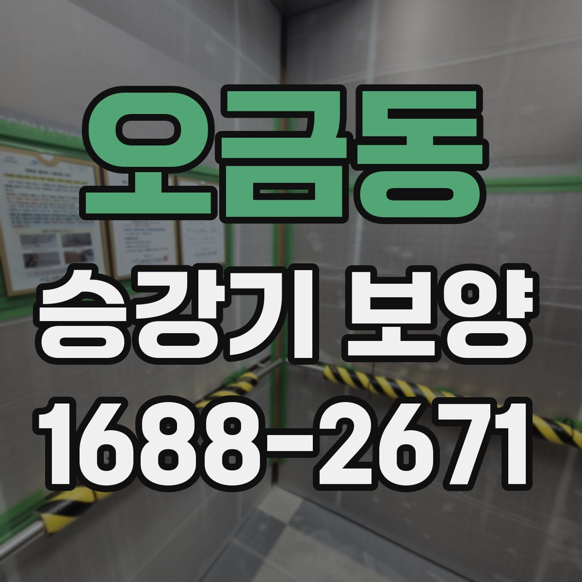 오금동 승강기 보양