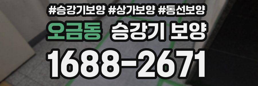 오금동 승강기 보양