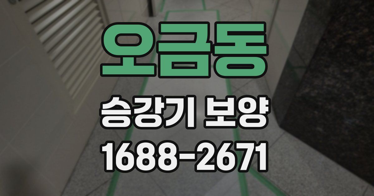 오금동 승강기 보양